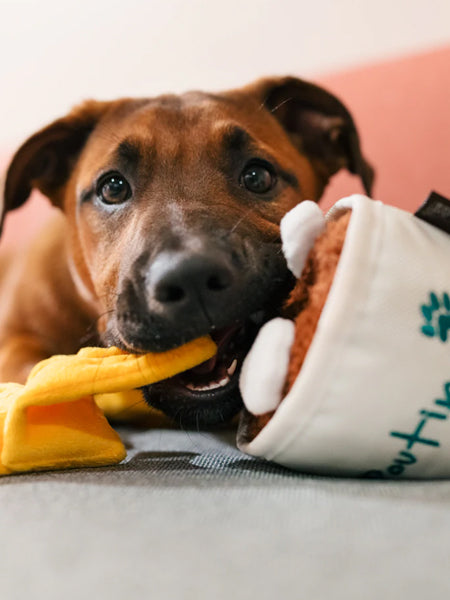 Jouet en peluche pour chien - Poutine - Pet PLAY x Earth Rated