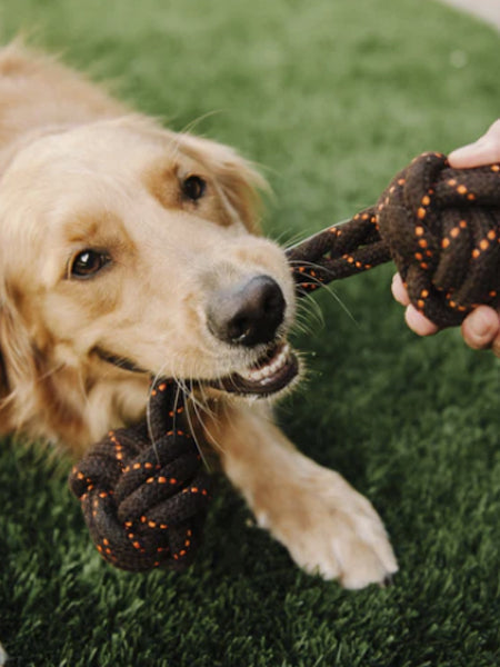Jouet en corde pour chien