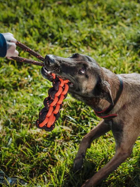 Jouet en corde pour chien - Novaball Twist - Pet PLAY