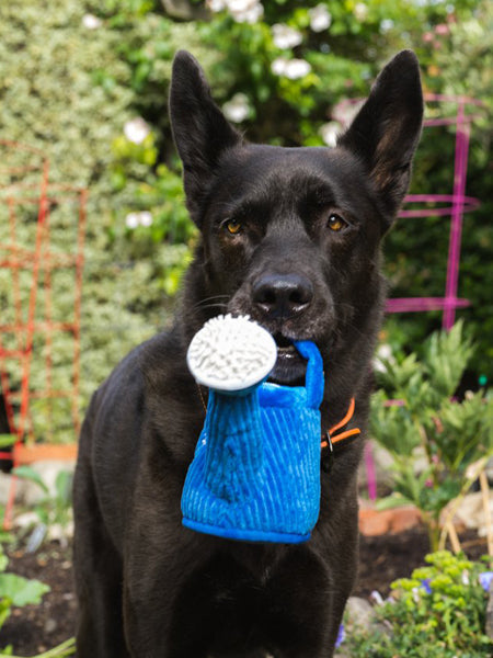 Peluche pour chien Blooming Buddies - Arrosoir 👩🏽🌾 - Pet PLAY
