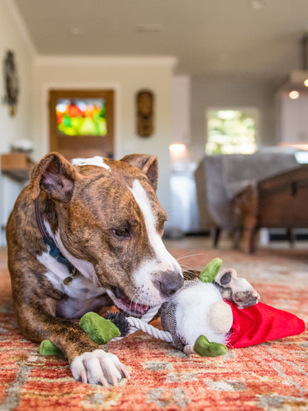 Jouet en peluche pour chien - Willow's Mythical - Gnome - Pet PLAY