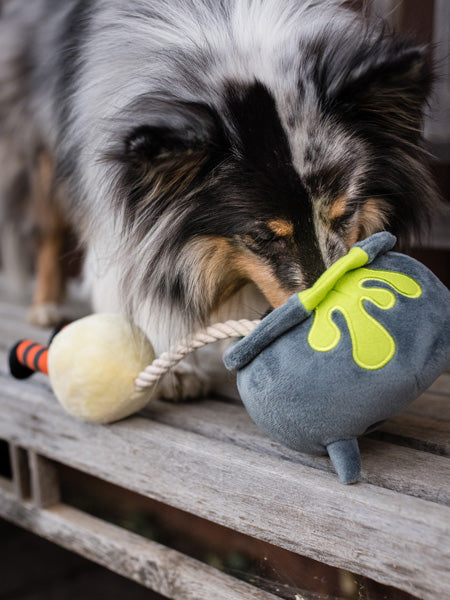 Jouet en peluche pour chien