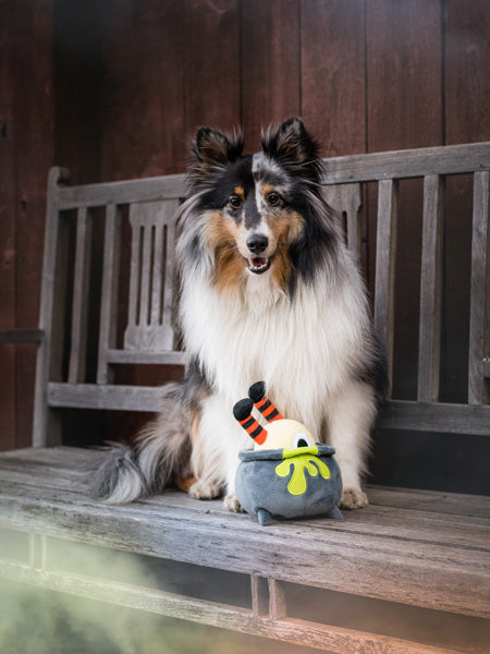 Jouet en peluche pour chien - Howling Haunts - Potion d'Halloween - Pet PLAY
