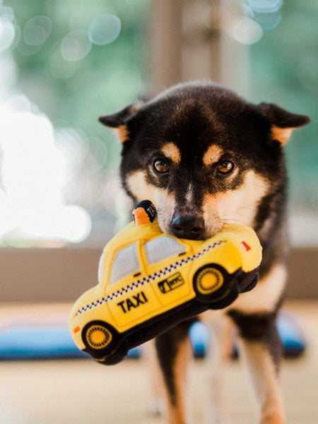 Jouet en peluche pour chien - Canine Commute - Taxi New Yorkais - Pet PLAY