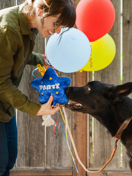 Jouet en peluche pour chien - Ballon d'anniversaire - Pet PLAY