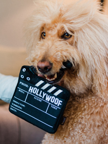 Jouet en peluche pour chien - Hollywoof Cinema - Clap de Cinéma - Pet PLAY