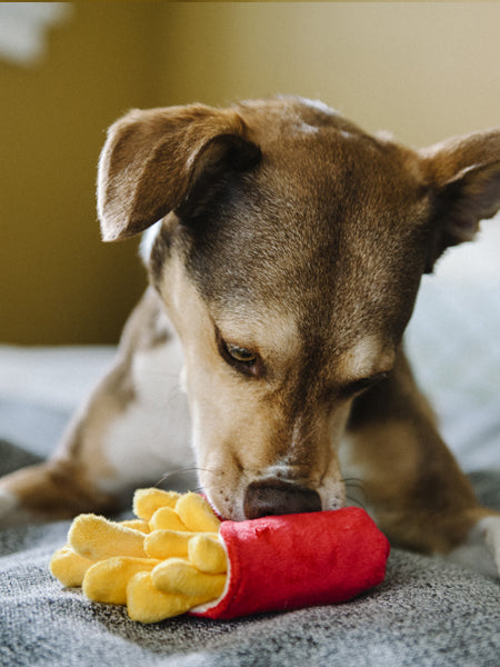 Jouet en peluche pour chien - American Classic - Frites