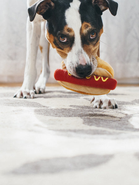 Jouet en peluche pour chien - American Classic - Hot dog