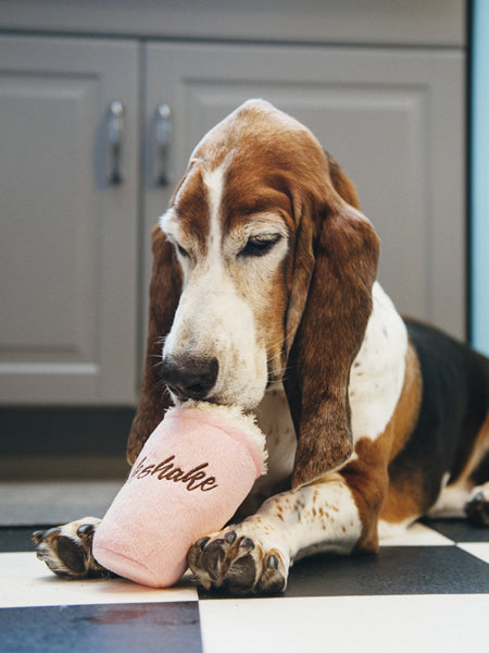 Jouet en peluche pour chien - American Classic - Milkshake