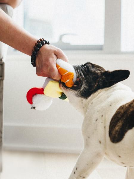Jouet en peluche pour chien - International Classic - Sushi - Pet PLAY