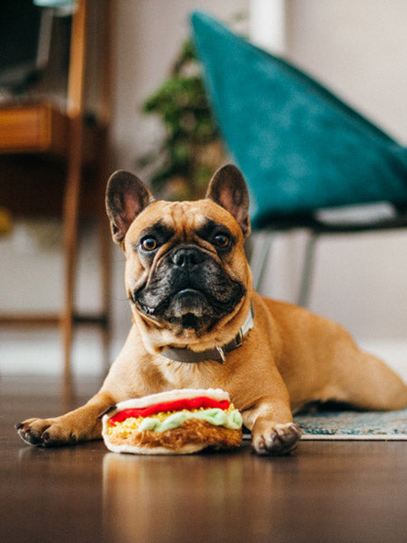 Jouet en peluche pour chien - International Classic - Tacos - Pet PLAY