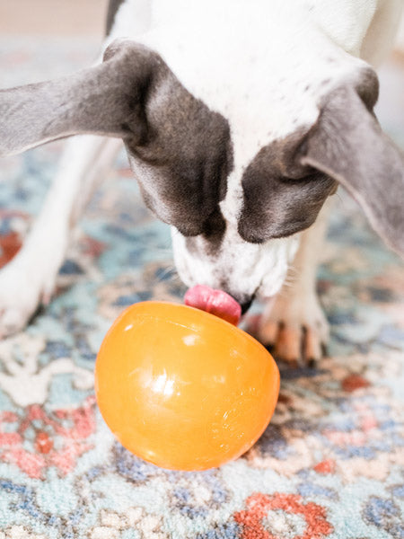 Snoop Orbee-Tuff pour chien - jouet interactif distributeur de friandises