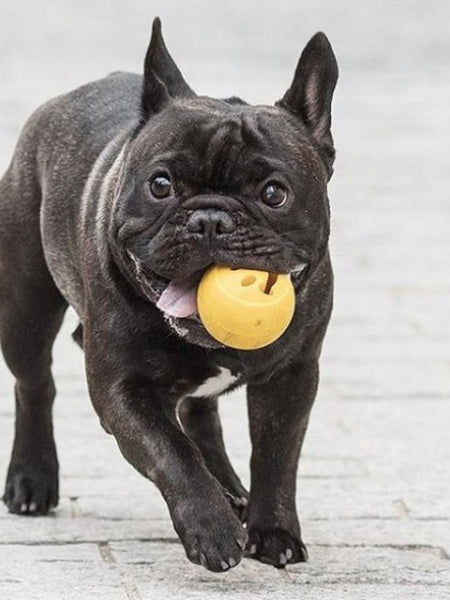 Balle Orbee Tuff pour chien - Smiley - Eco-friendly et durable