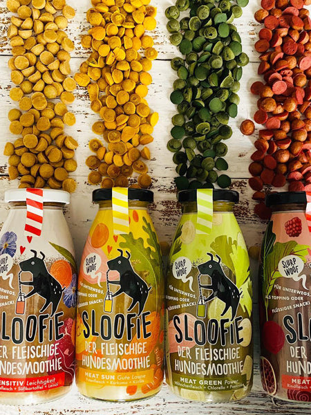 Délicieuse boisson naturelle pour chien