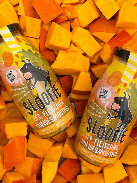 Délicieuse 🥤 boisson naturelle pour chien - Meat Sun 🍲🦃- Sloofie