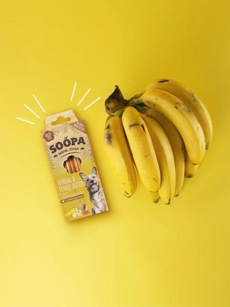 Bâtonnets à mâcher pour chien - Banane et Beurre de cacahuète
