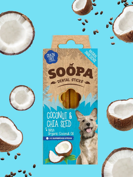 Bâtonnets à mâcher pour chien - Noix de Coco et Graines de Chia