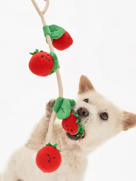 Jouet de fouille pour chien - Tomates cerises - The FurryFolks