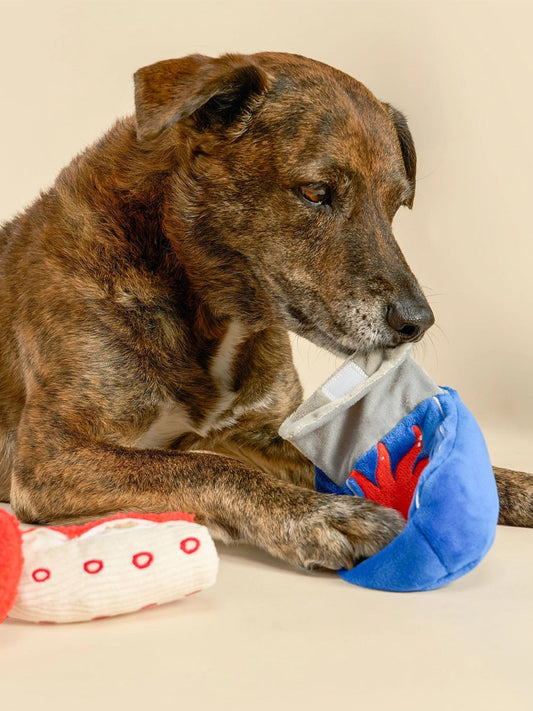 Jouet de fouille pour chien - Conserve de Poulpe 🐙 - The FurryFolks
