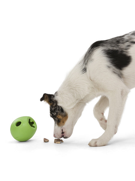 Jouet interactif puzzle pour chien - Rumbl Zogoflex - Vert - Eco-friendly