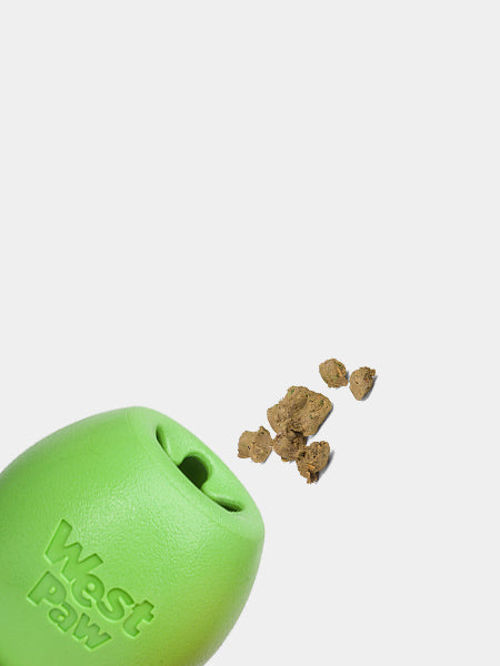 Jeu de réflexion pour chien
