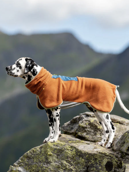 Polaire pour chien - Alpha 360 Fleece Pullover Terracotta Mix - Woolly Wolf