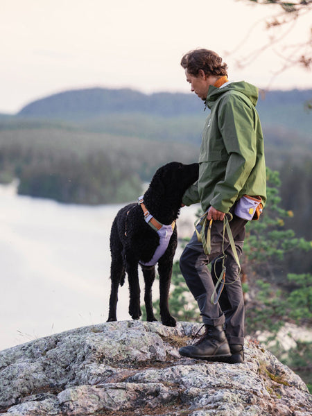 Harnais pour chien Alpha 360 - Lavender Mix - Woolly Wolf