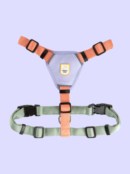Harnais pour chien - Color Block Salmon Pink - Woolly Wolf