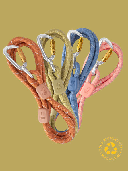Laisse en corde recyclée pour chien - Terracotta - Woolly Wolf