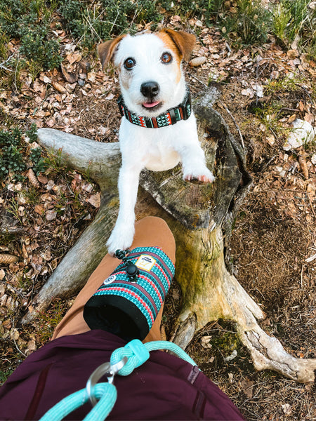 Sac à friandises pour chien motif Woodland - Woolly Wolf