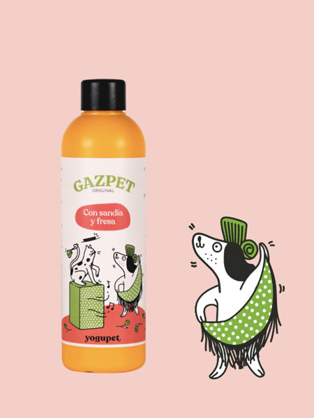 Gaspacho pour chien et chat