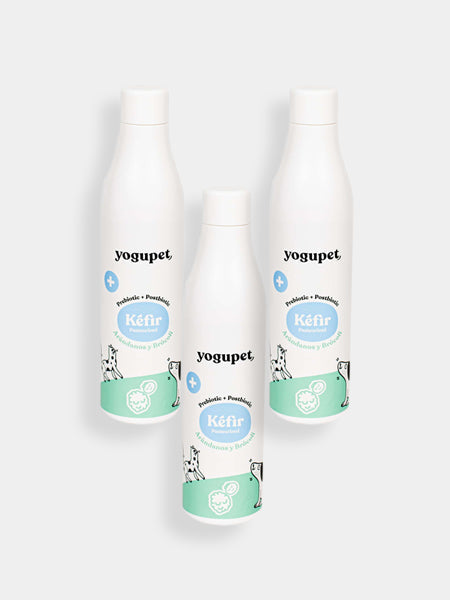 Kéfir pour chien et chat