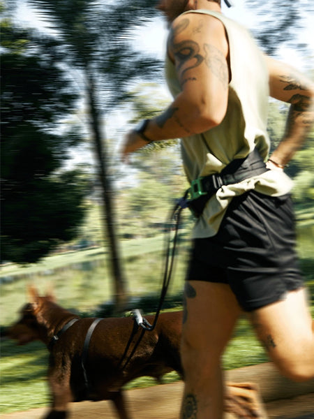 Ceinture pour Canicross - ZEE.RUN BELT - Zee.Dog