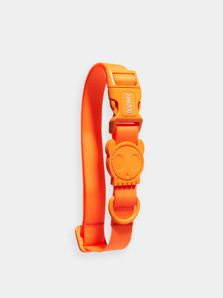 Collier en néoprène pour chien - Neopro Tangerine - Zee.Dog