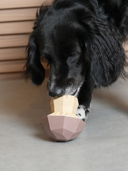 Jouet d'occupation pour chien - Super Veggiez Champignon 🍄🟫 - Zee.dog