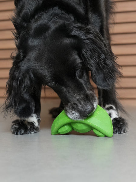 Jouet d'occupation pour chien - Super Veggiez Petits pois🫛 - Zee.dog