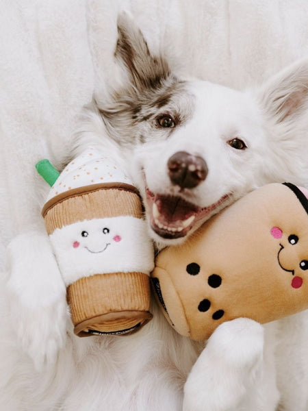 Peluche originale pour chien - Puppaccino ☕ Nomnomz - Zippy Paws
