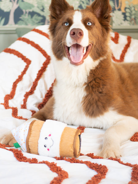 Peluche pour chien