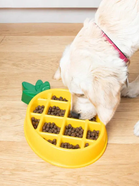 Gamelle anti-glouton en forme d'ananas 🍍 - Happy Bowl Zippy Paws