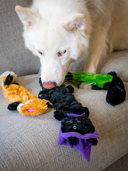 3 Peluches d'Halloween pour chien - Zippy Paws- Halloween Skinny Peltz