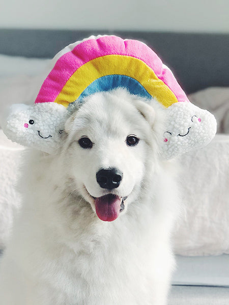 Peluche originale pour chien - Arc en Ciel 🌈 - Zippy Paws