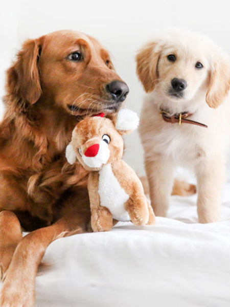 Peluche originale pour chien - Renne Rudolph 🦌 - Zippy Paws