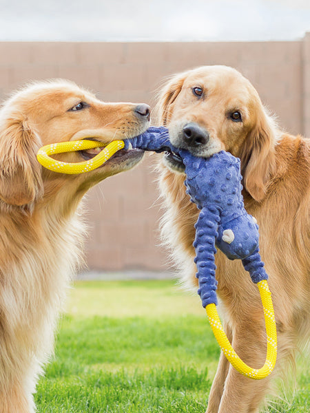 Peluche originale pour chien - Singe RopeTugz 🐒 - Zippy Paws