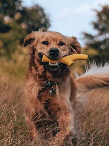 Bâton en caoutchouc pour chien - Super Stick Jaune - Beco