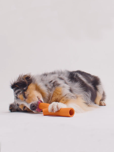 Bâton en caoutchouc pour chien - Super Stick Orange - Beco