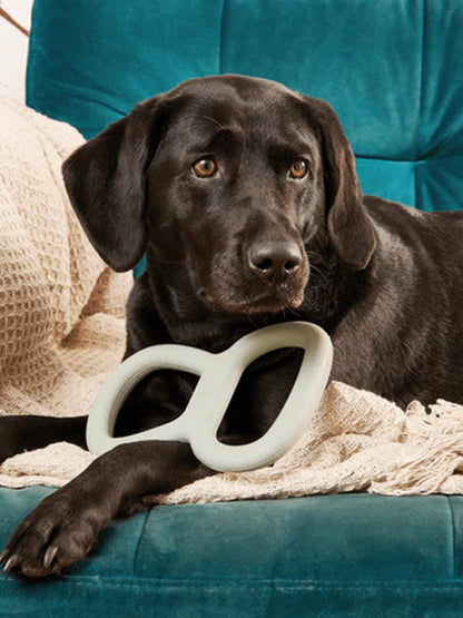 Bâton en caoutchouc pour chien - Tugger Vert - Beco