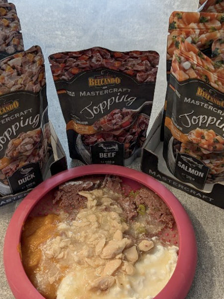 Garniture avec bouillon pour chien