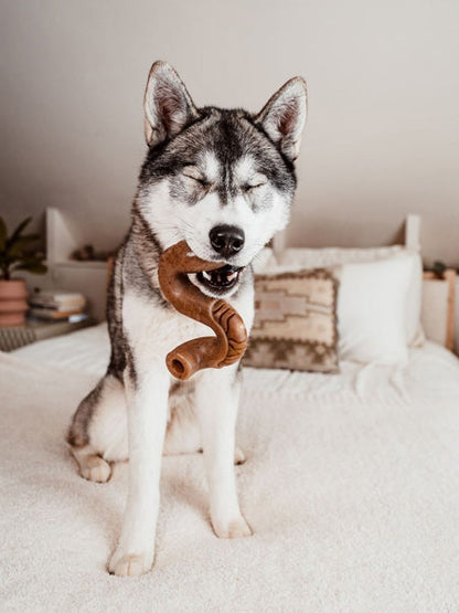 Jouet à mâcher et à remplir pour chien
