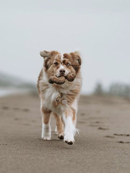 Jouet à mâcher et à remplir pour chien