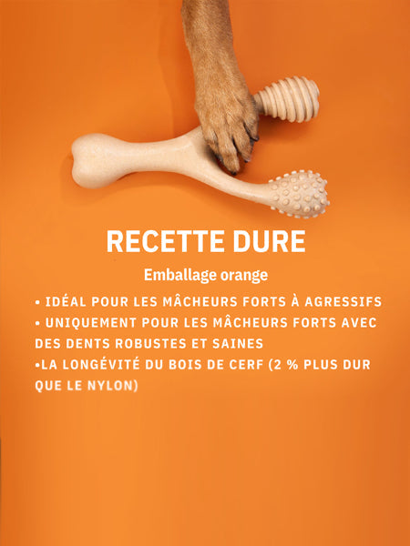 Jouet à mâcher pour chien